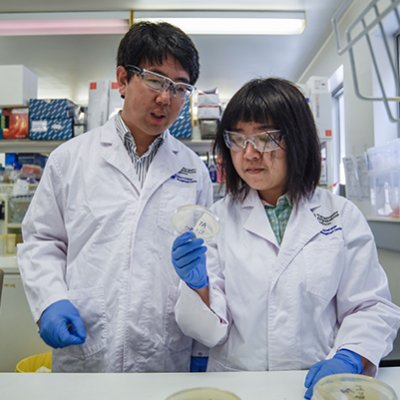 From left: Dr Jianhua Guo and PhD student Yue Wang in the lab